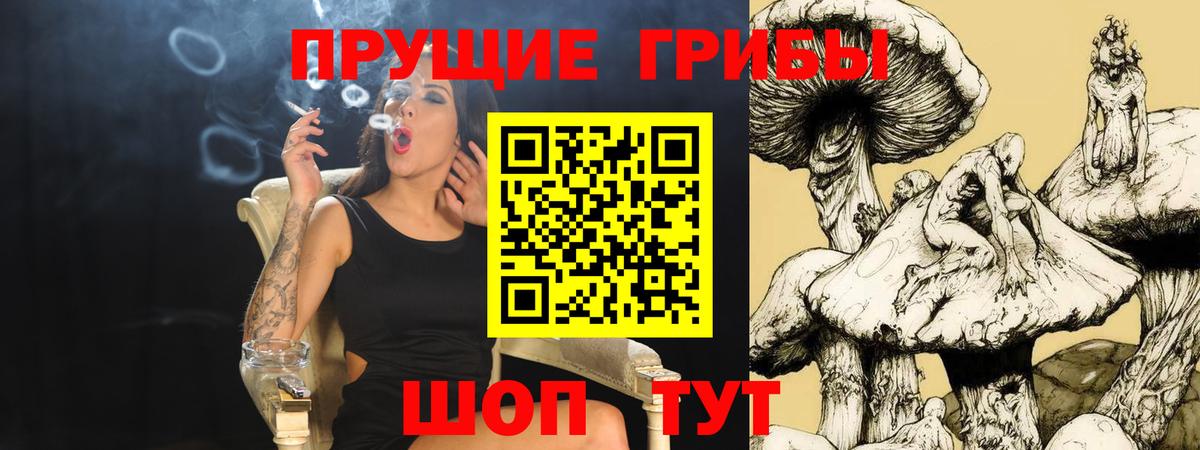 Галлюциногенные грибы прущие грибы Великий Новгород