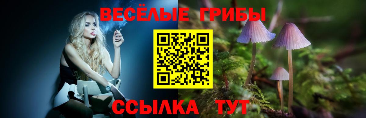Великий Новгород  Псилоцибиновые грибы Cubensis  Вход с VPN 